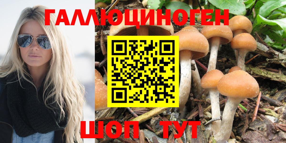 Галлюциногенные грибы Magic Shrooms  продажа наркотиков  Москва  Вход с VPN  Галлюциногенные грибы Psilocybine cubensis 